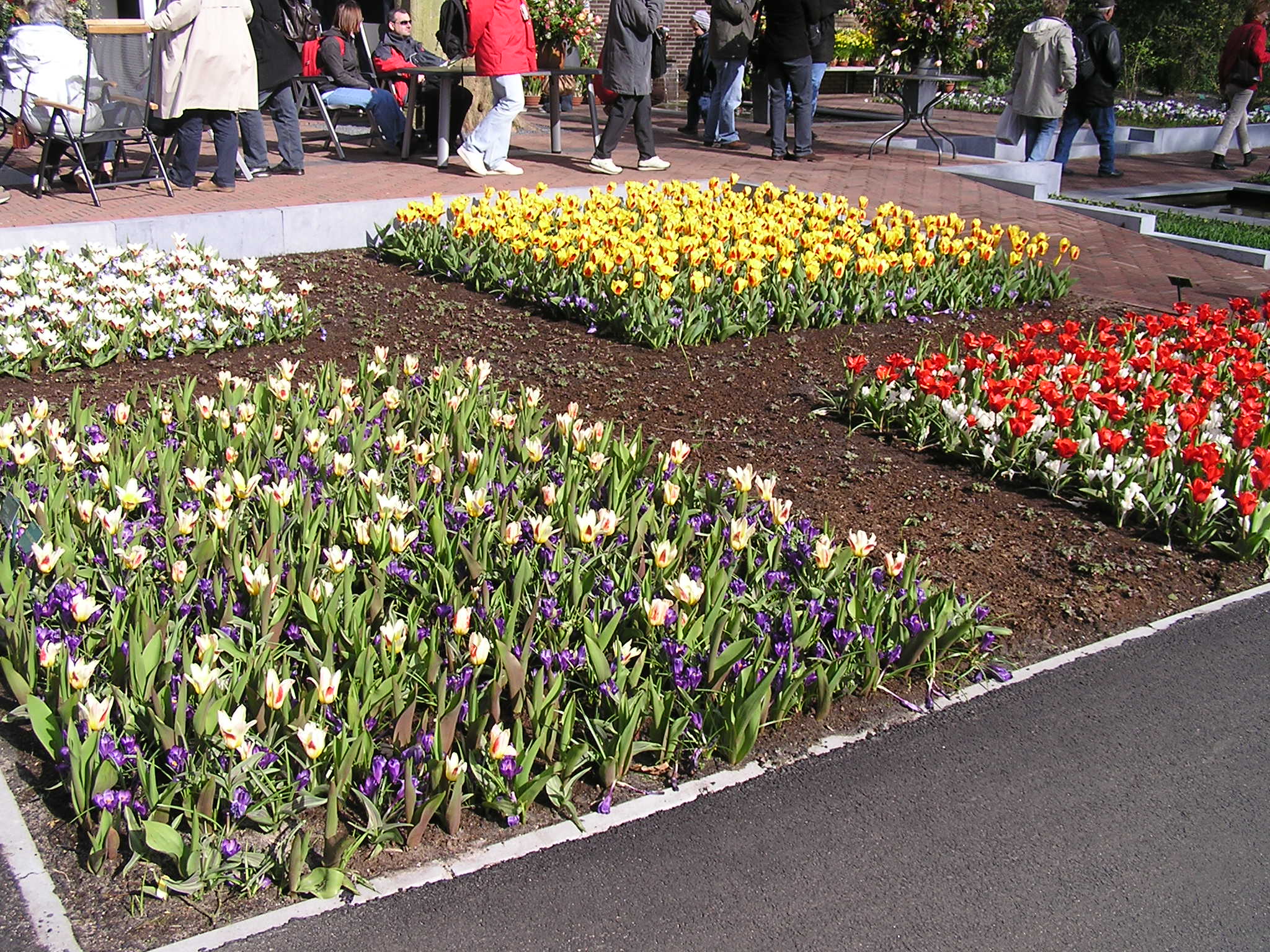 P1010146.JPG