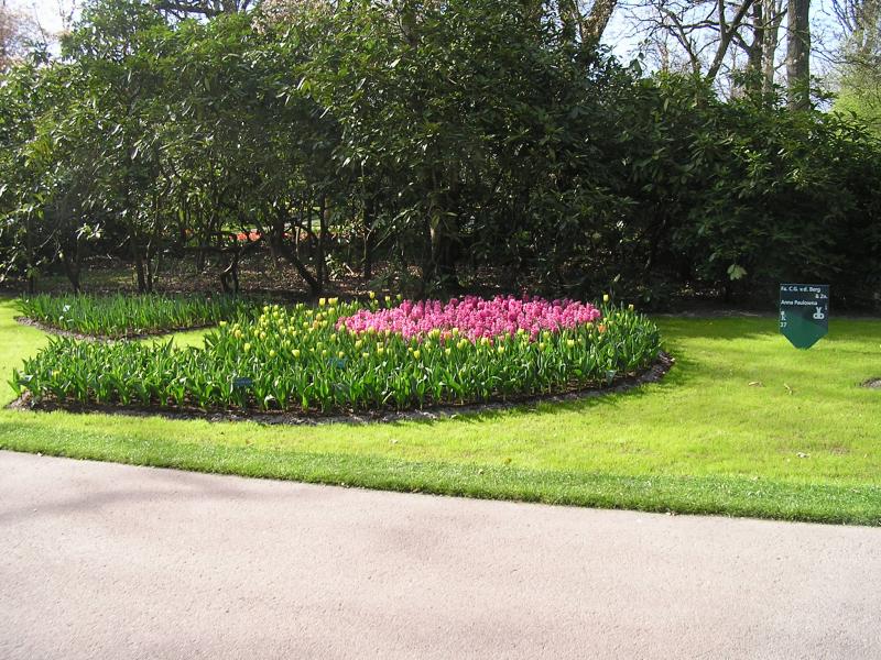 P1010148.JPG