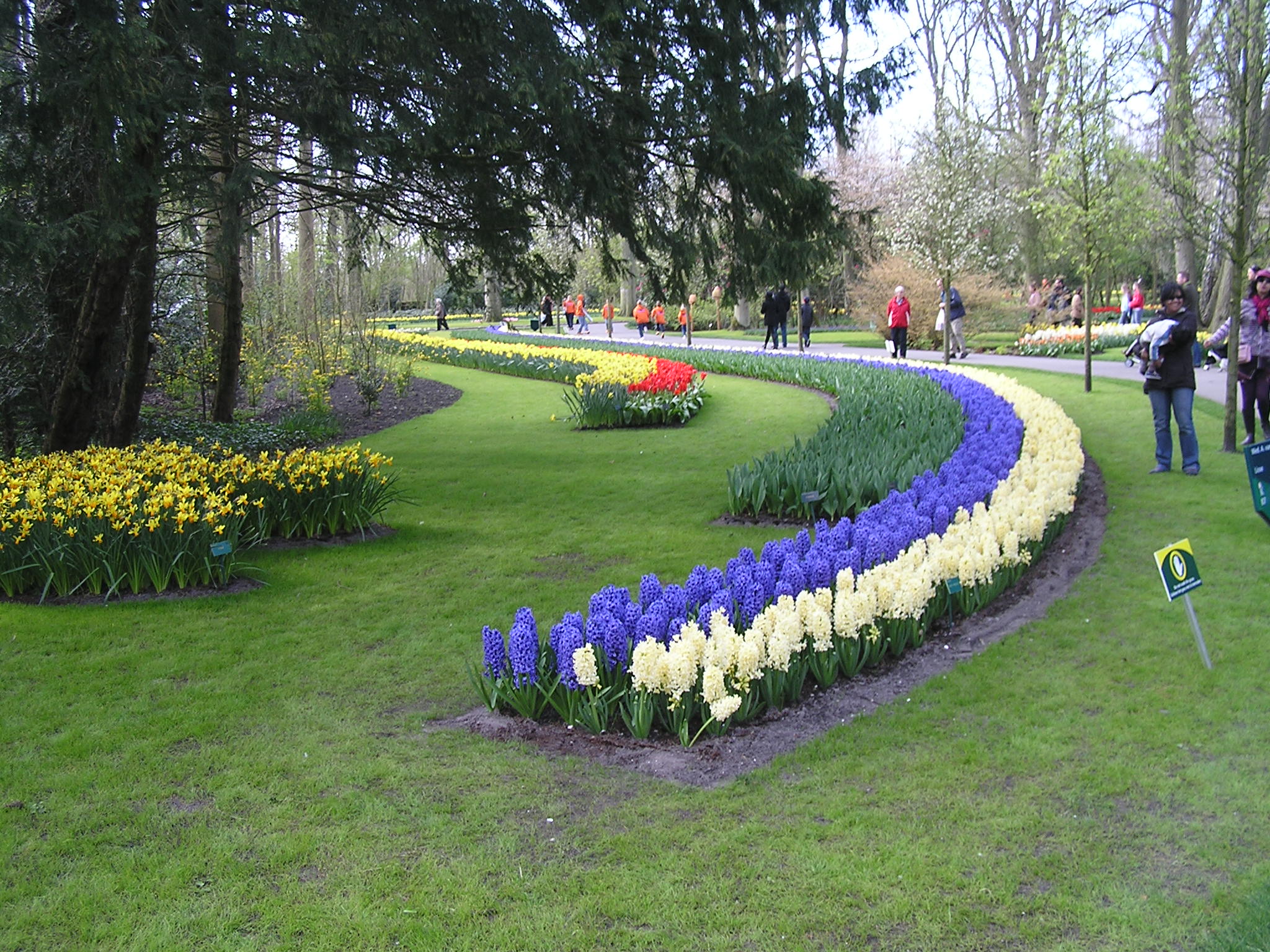 P1010150.JPG
