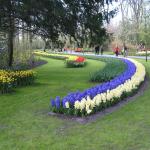 P1010150.JPG