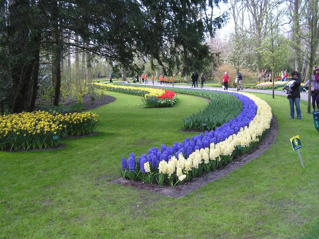 P1010150.JPG