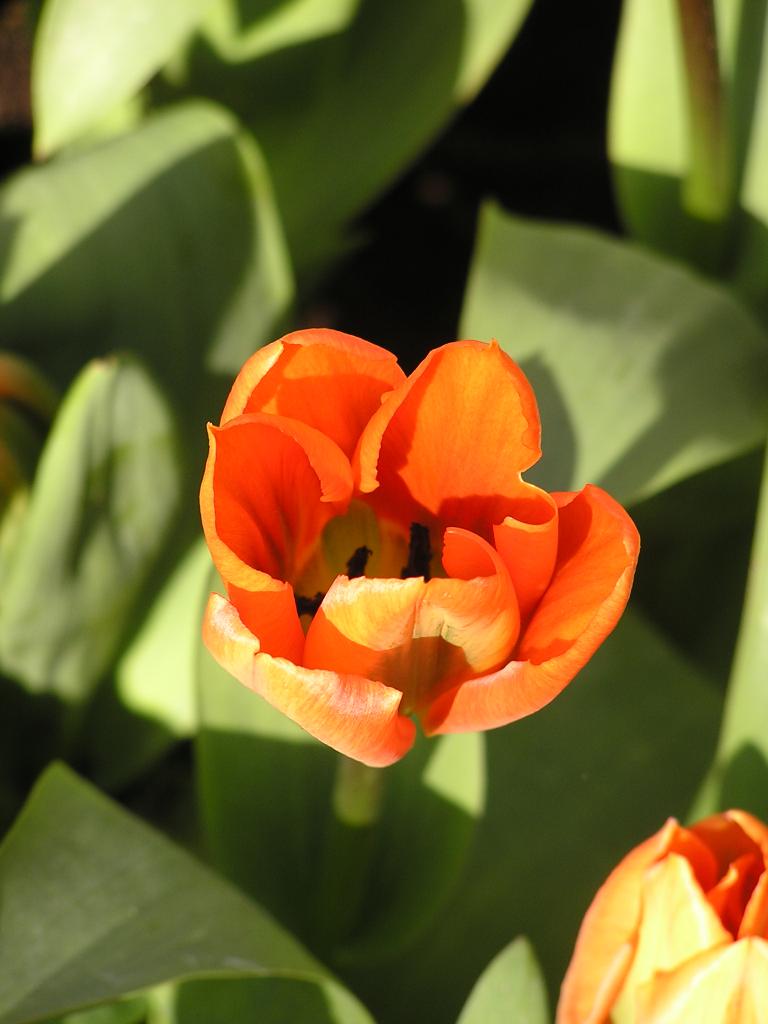 P1010158.JPG