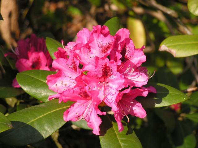 P1010161.JPG
