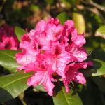P1010161.JPG