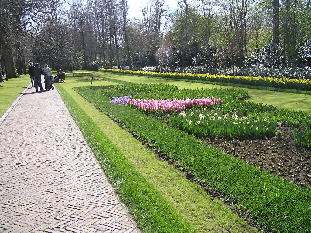 P1010165.JPG