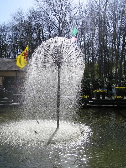 P1010008.JPG