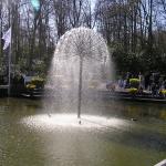 P1010009.JPG