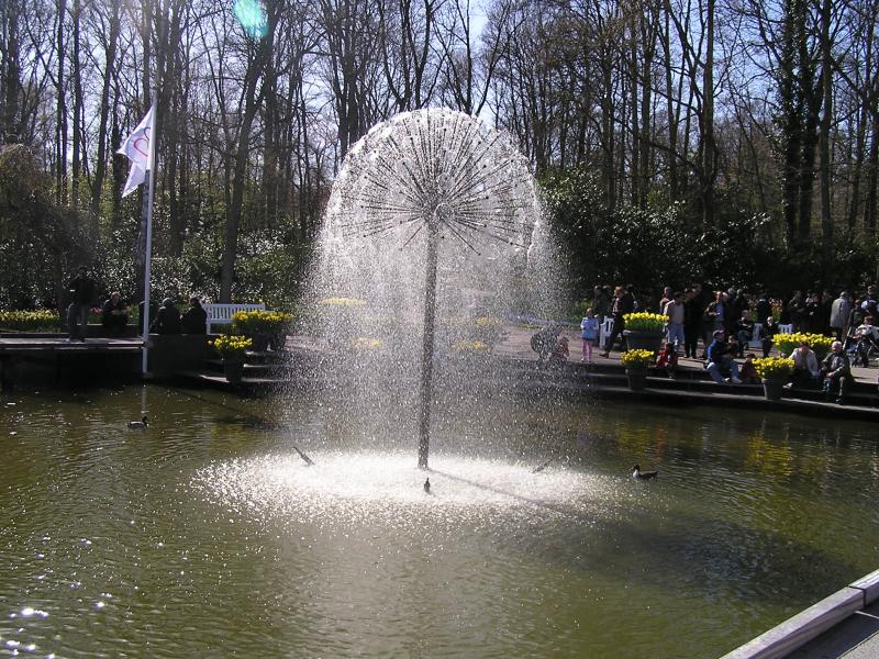 P1010009.JPG