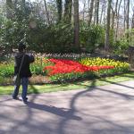 P1010011.JPG