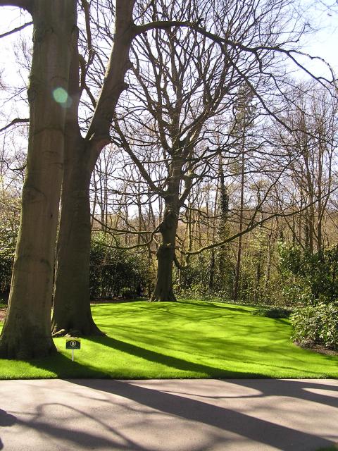 P1010023.JPG