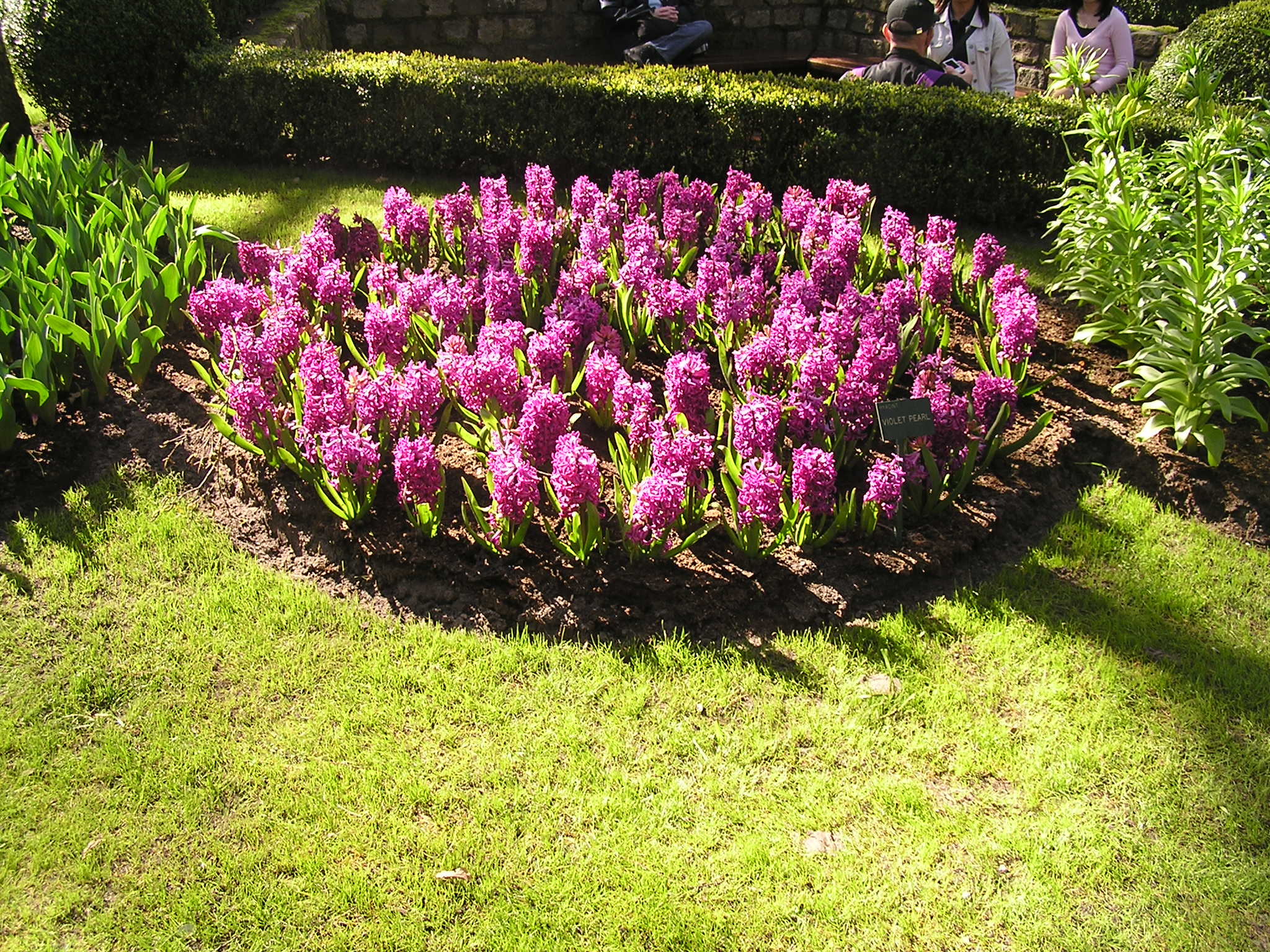 P1010034.JPG