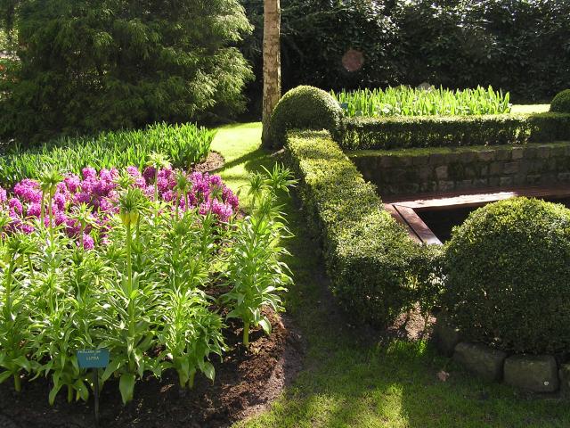 P1010036.JPG