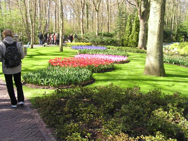 P1010037.JPG
