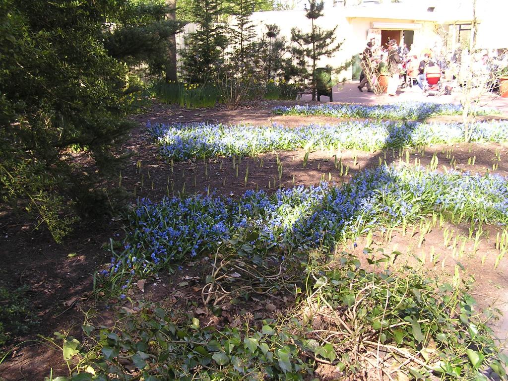 P1010050.JPG