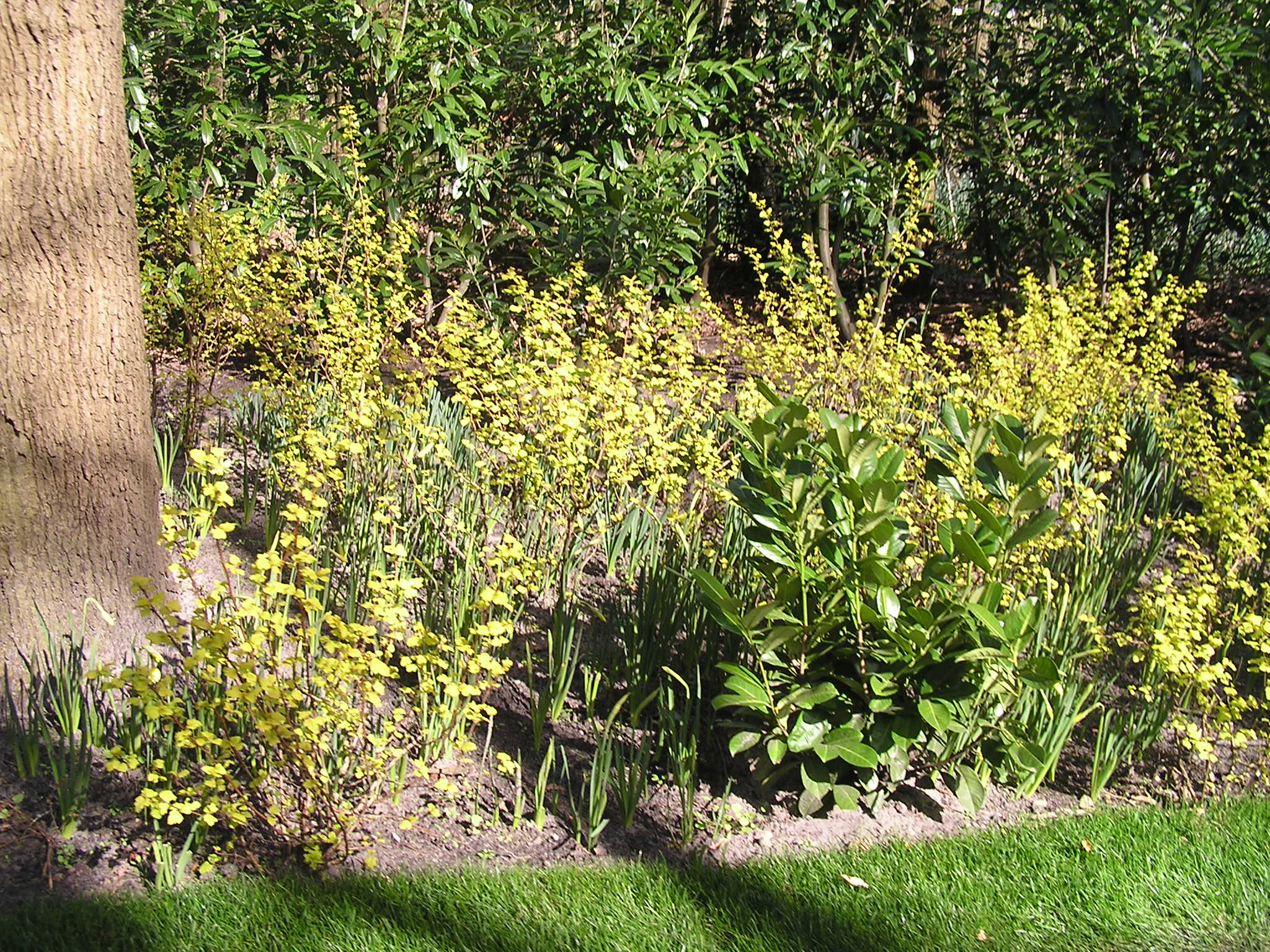 P1010055.JPG