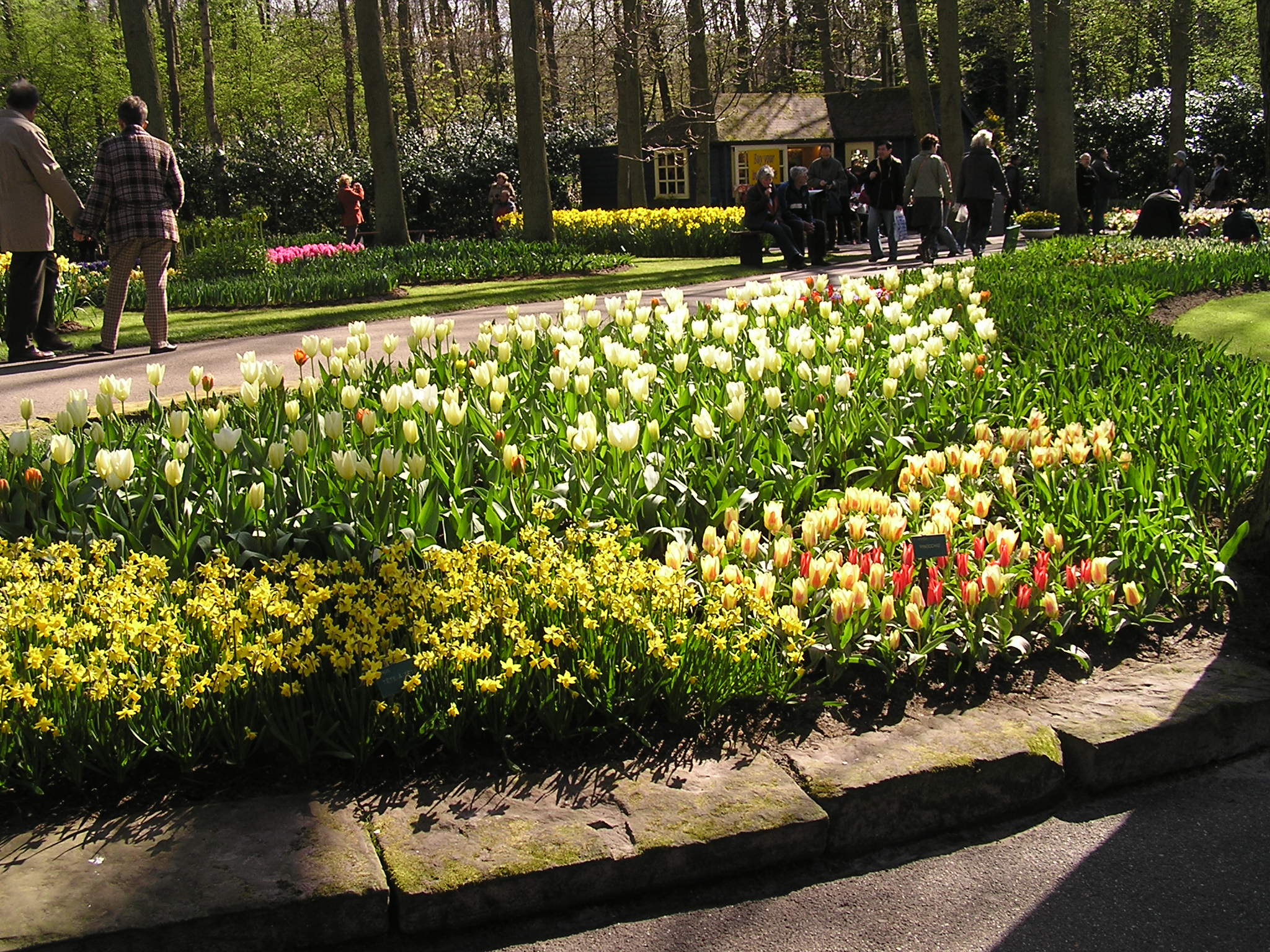 P1010063.JPG