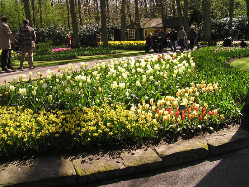 P1010063.JPG