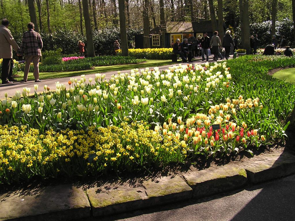P1010063.JPG
