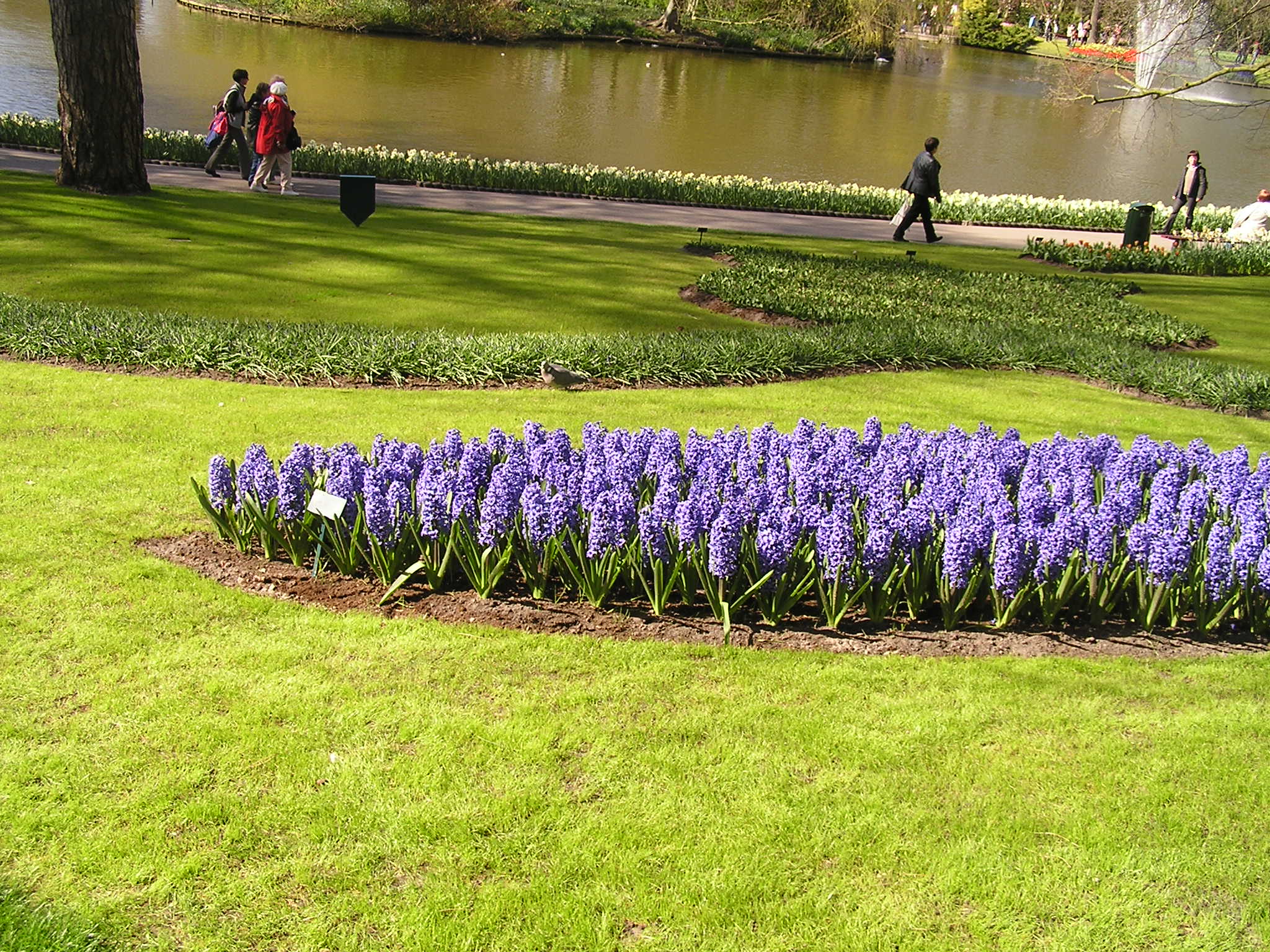 P1010065.JPG