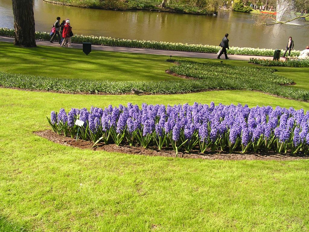 P1010065.JPG