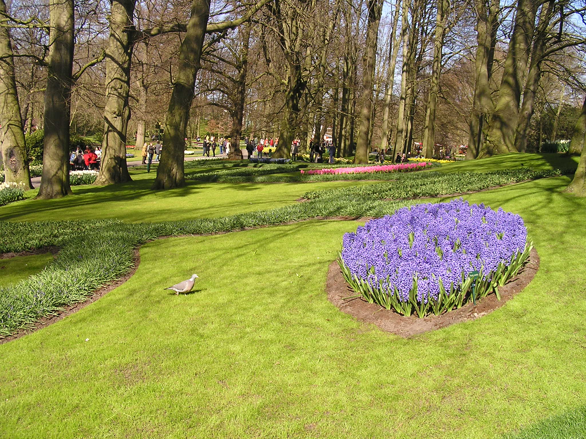 P1010066.JPG