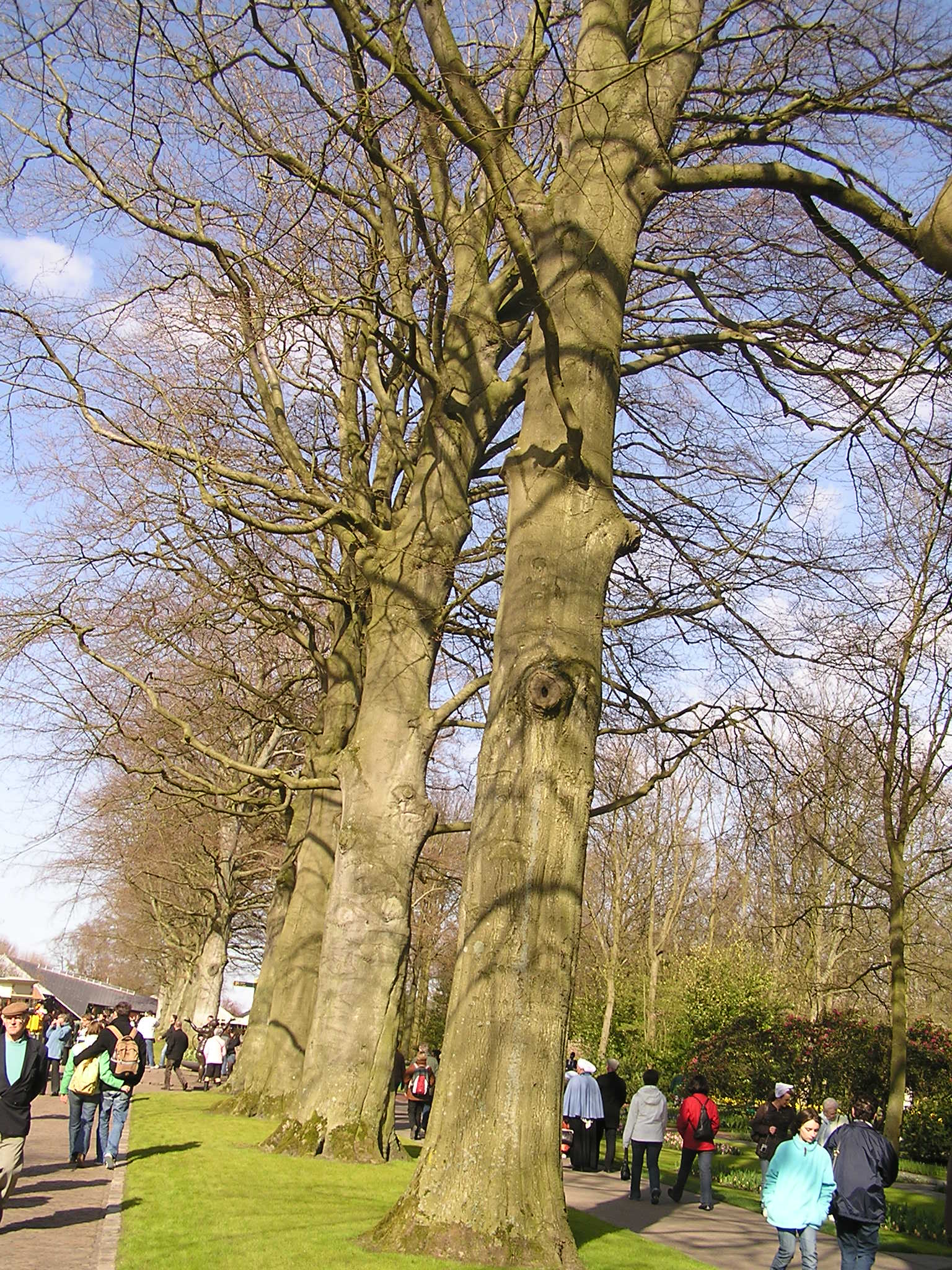 P1010168.JPG