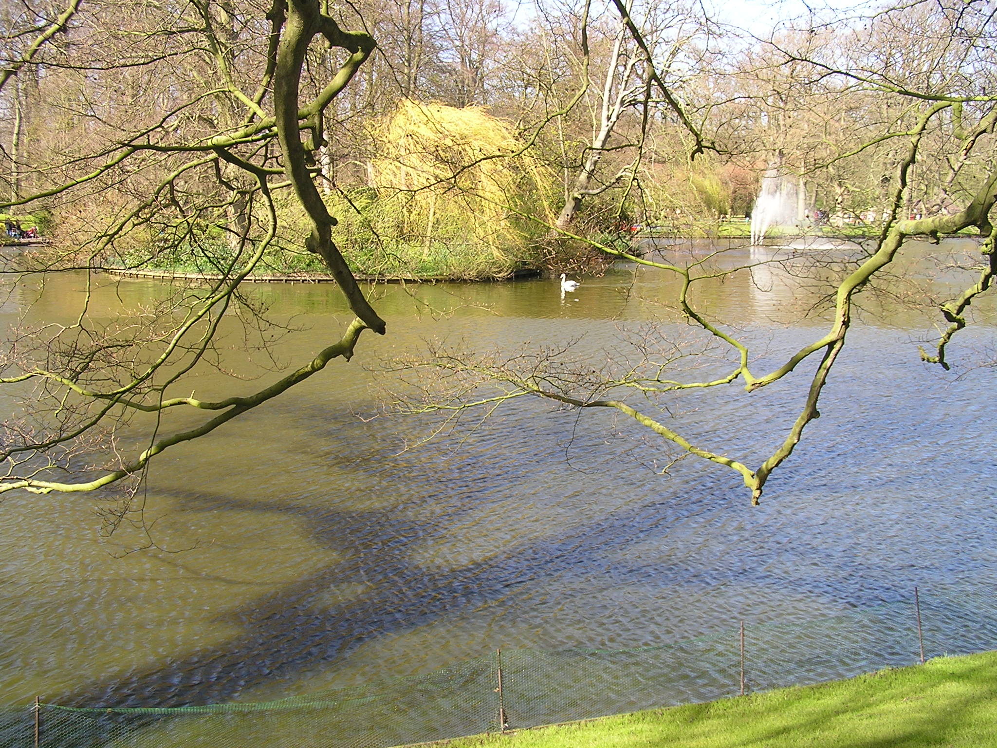 P1010074.JPG