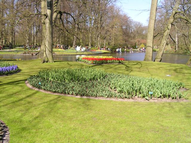 P1010086.JPG
