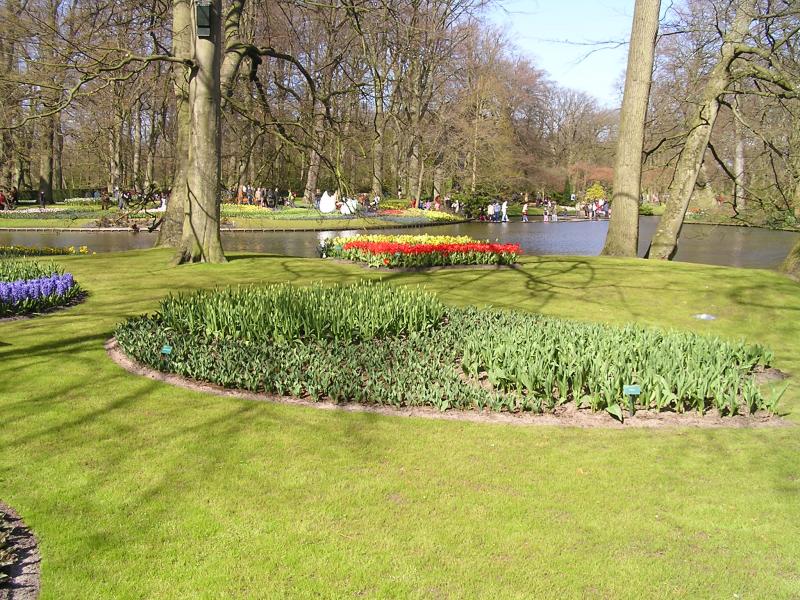 P1010086.JPG