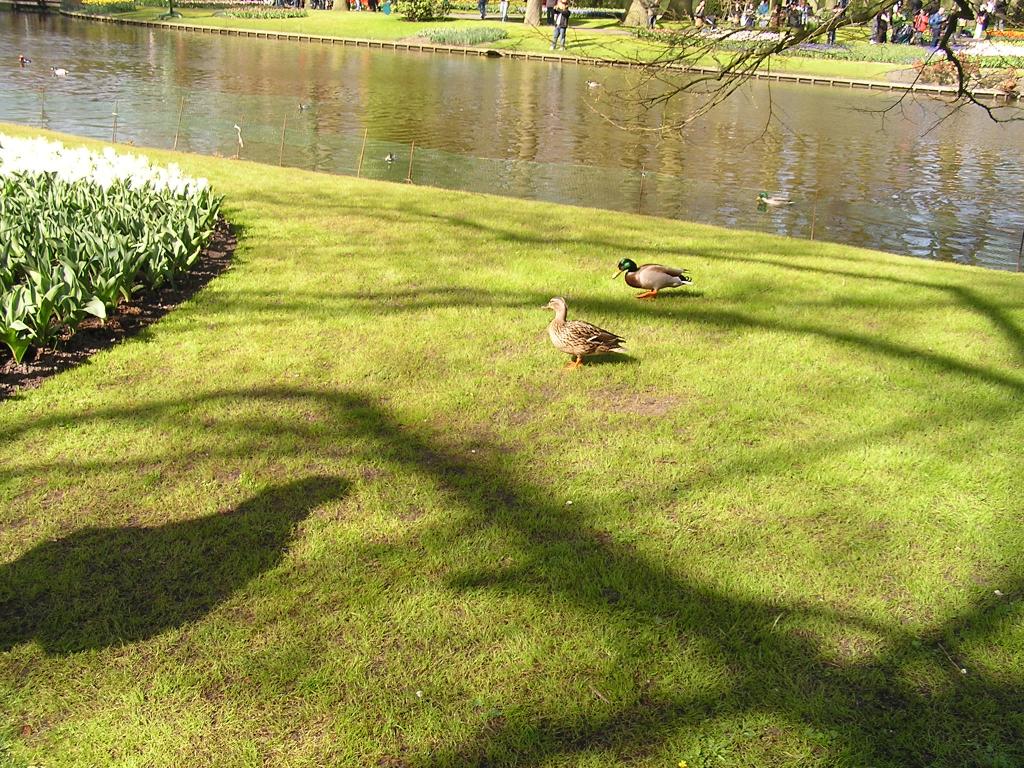 P1010088.JPG