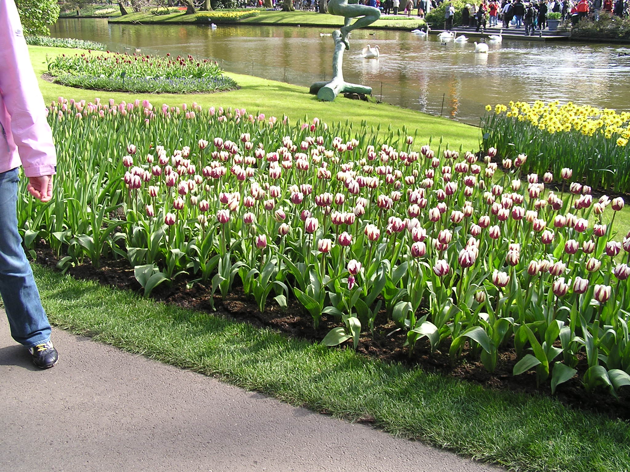 P1010106.JPG
