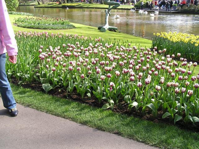 P1010106.JPG