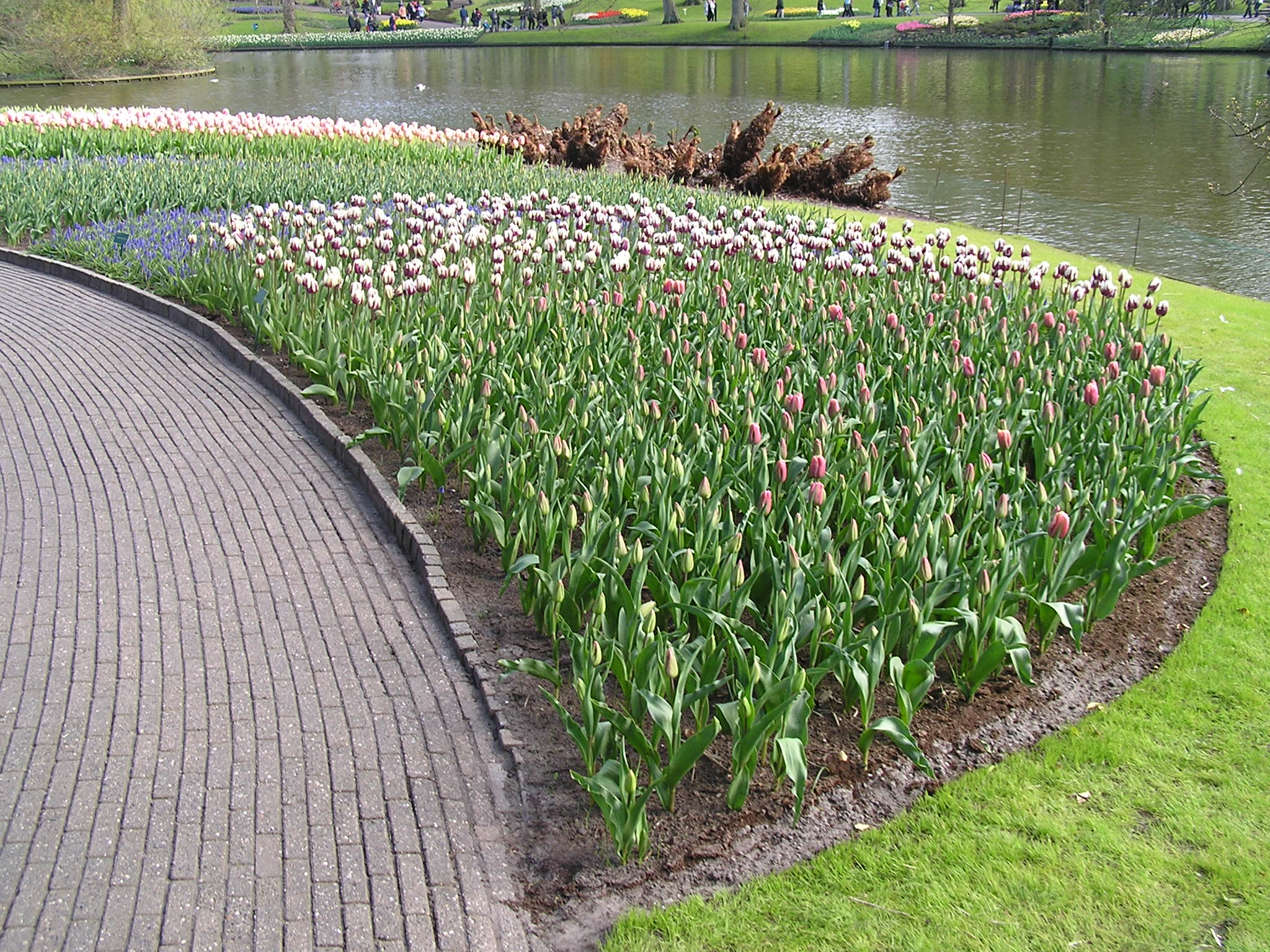 P1010111.JPG