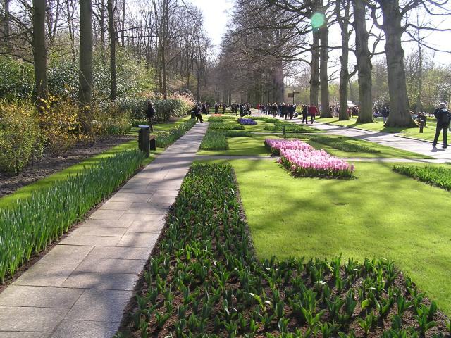 P1010180.JPG