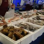 Blaak - Fish1.JPG