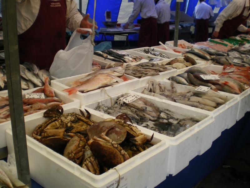 Blaak - Fish1.JPG