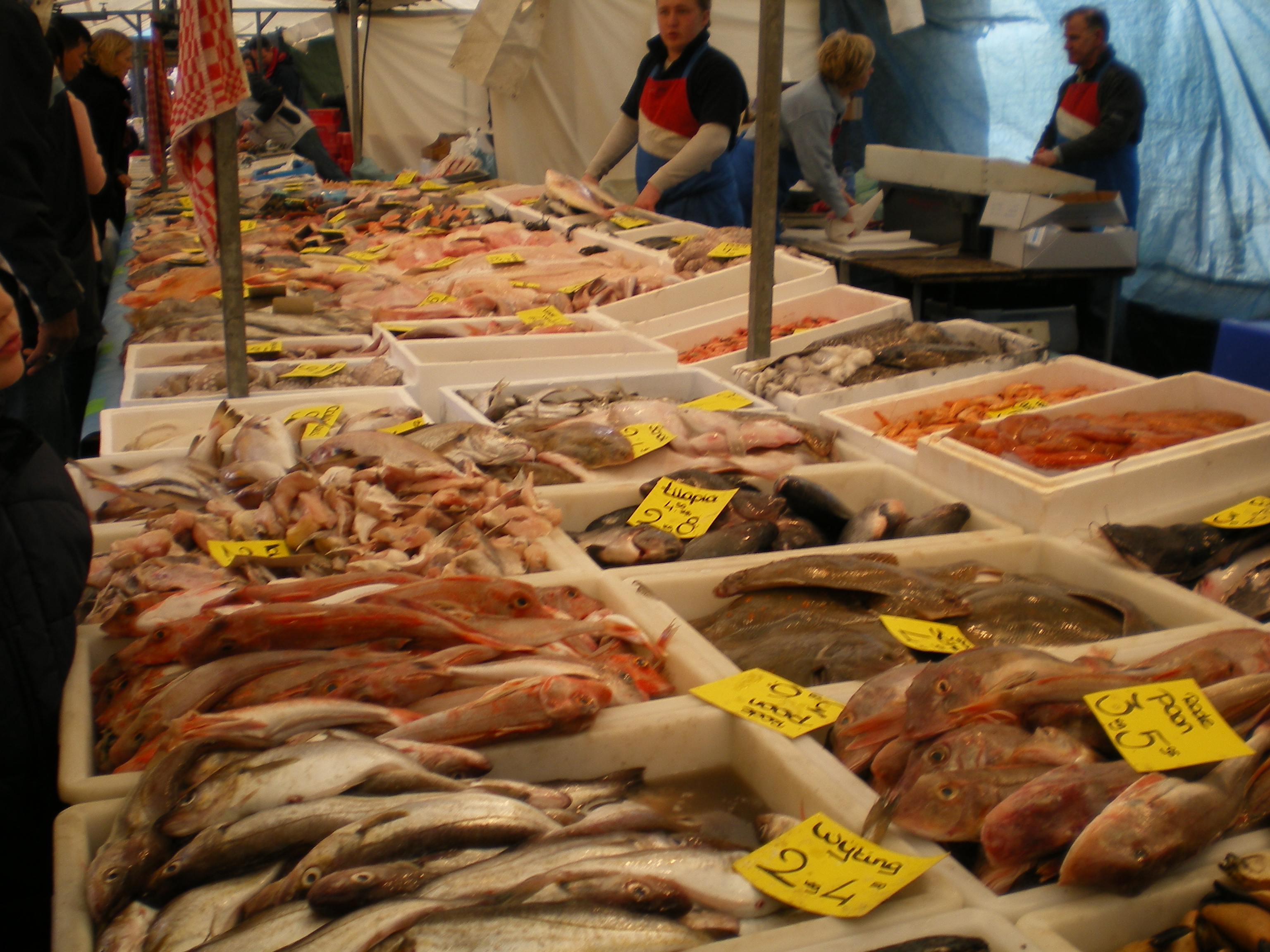 Blaak - Fish2.JPG