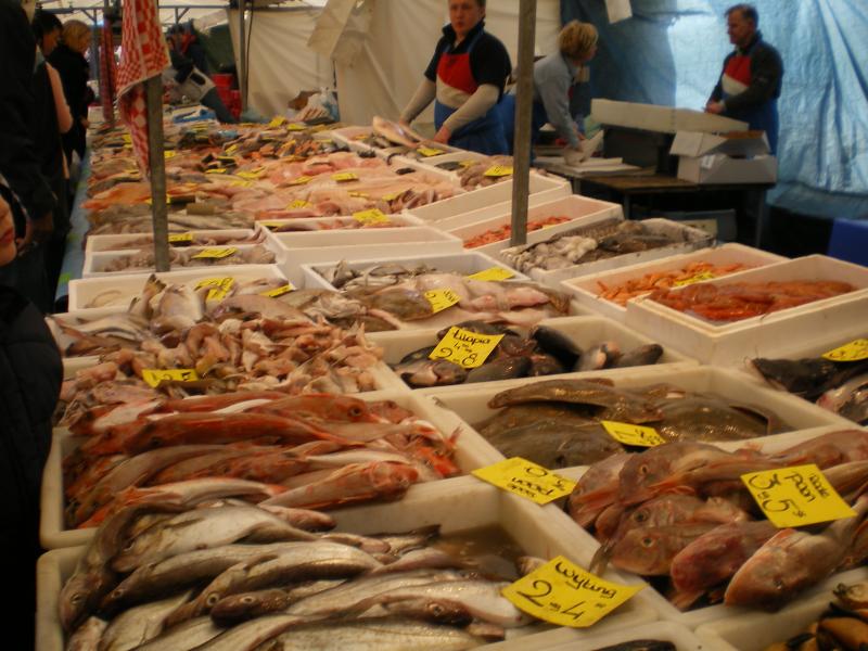 Blaak - Fish2.JPG