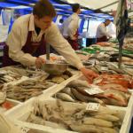 Blaak - Fish3.JPG
