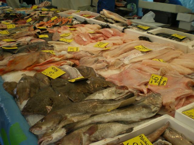 Blaak - Fish4.JPG