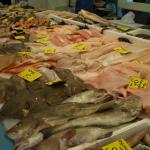 Blaak - Fish4.JPG