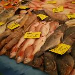 Blaak - Fish5.JPG