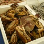 Blaak - Fish - Crab.JPG