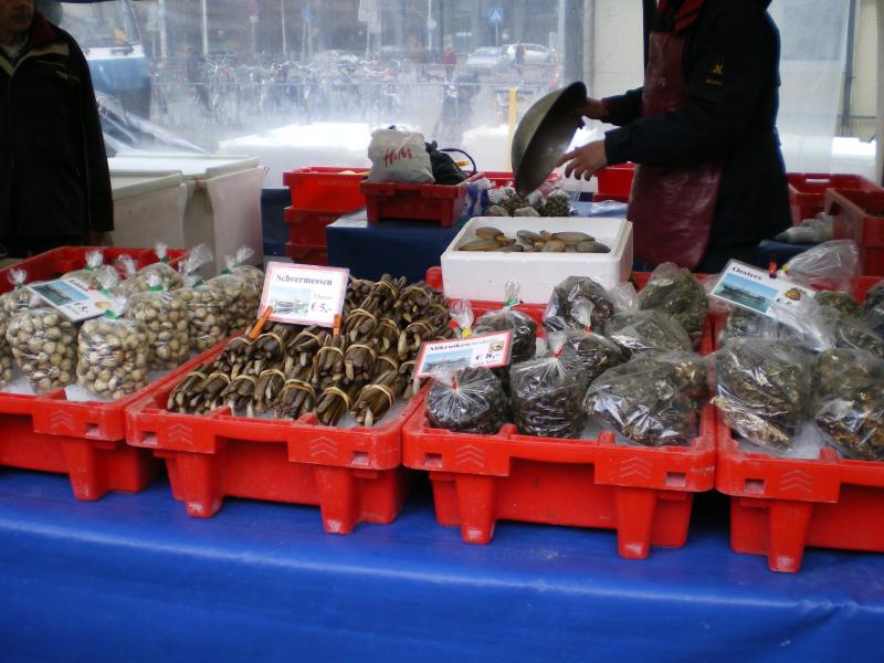 Blaak - Fish - Mussels1.JPG