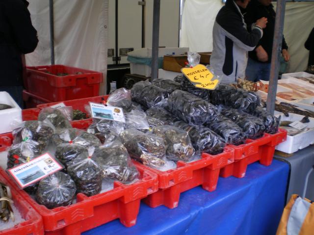 Blaak - Fish - Mussels2.JPG