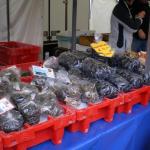 Blaak - Fish - Mussels2.JPG