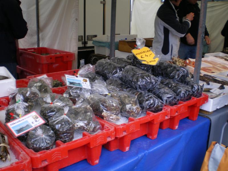 Blaak - Fish - Mussels2.JPG