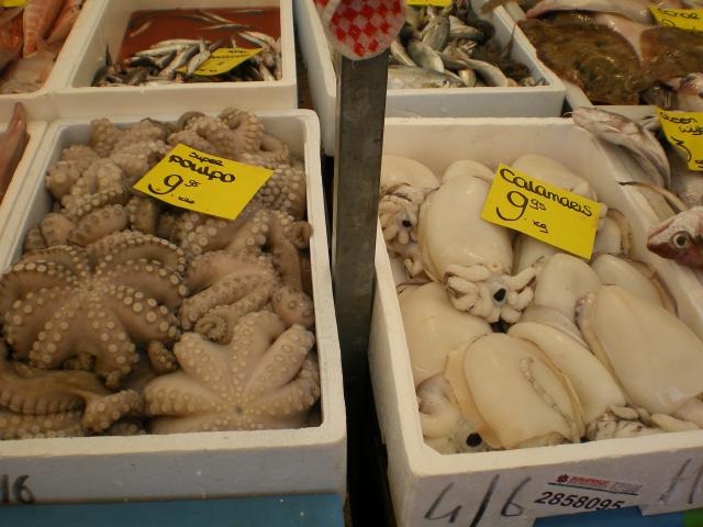 Blaak - Fish - Squid2.JPG