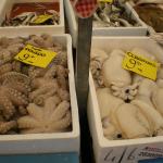 Blaak - Fish - Squid2.JPG