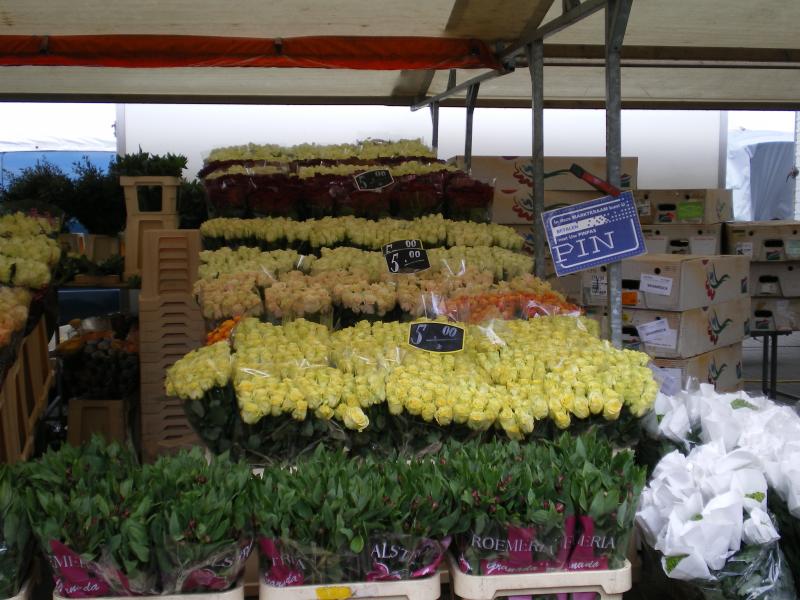 Blaak - Flowers1.JPG